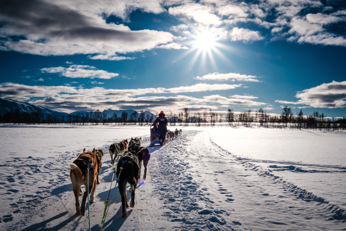 Grünenthal Geilo, Norway, the Adventures of Team Palexia