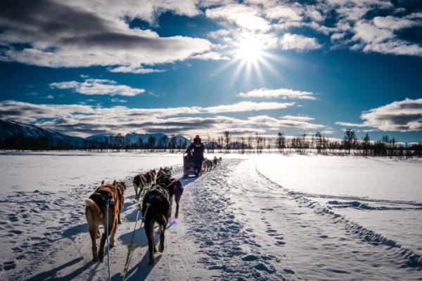 Grünenthal Geilo, Norway, The adventures of Team Palexia