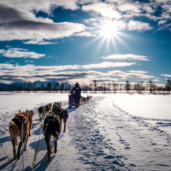 Grünenthal Geilo, Norway, The adventures of Team Palexia